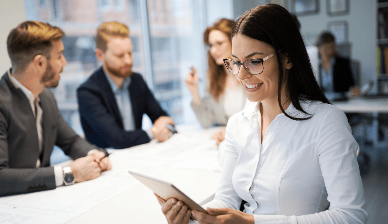 Efficiency Consulting, Consulting, BPA, CEE, Certified Efficiency Expert, Business Doctor, Health Check for your Business.